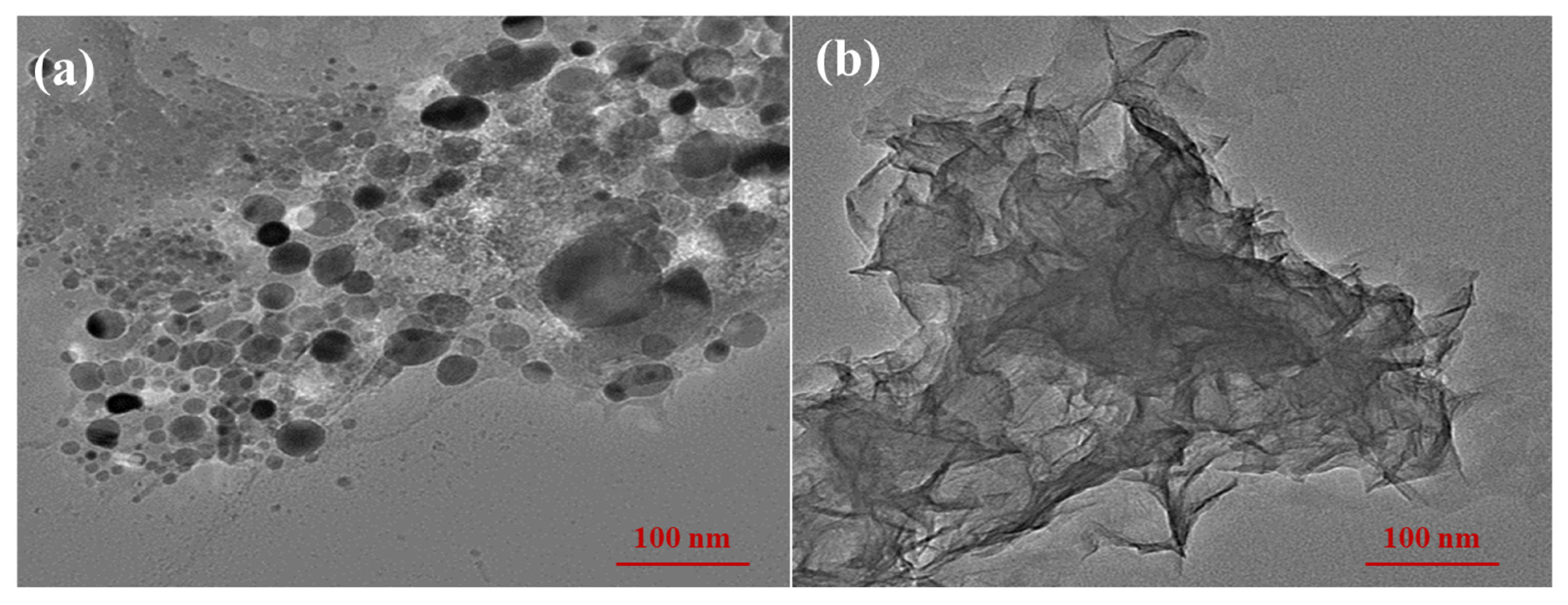 Materials 18 00326 g005