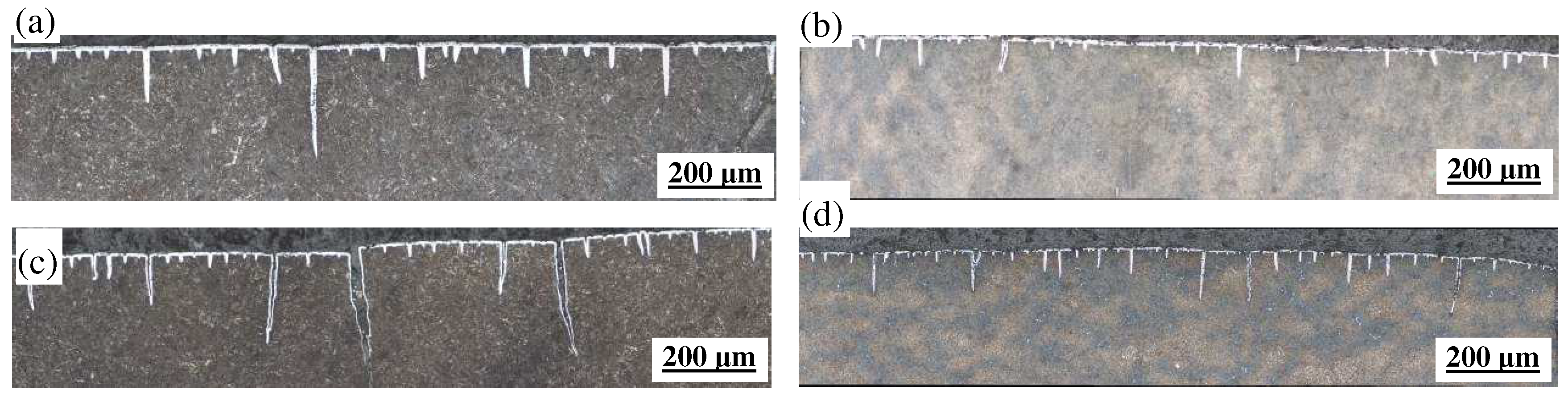 Materials 18 00334 g005