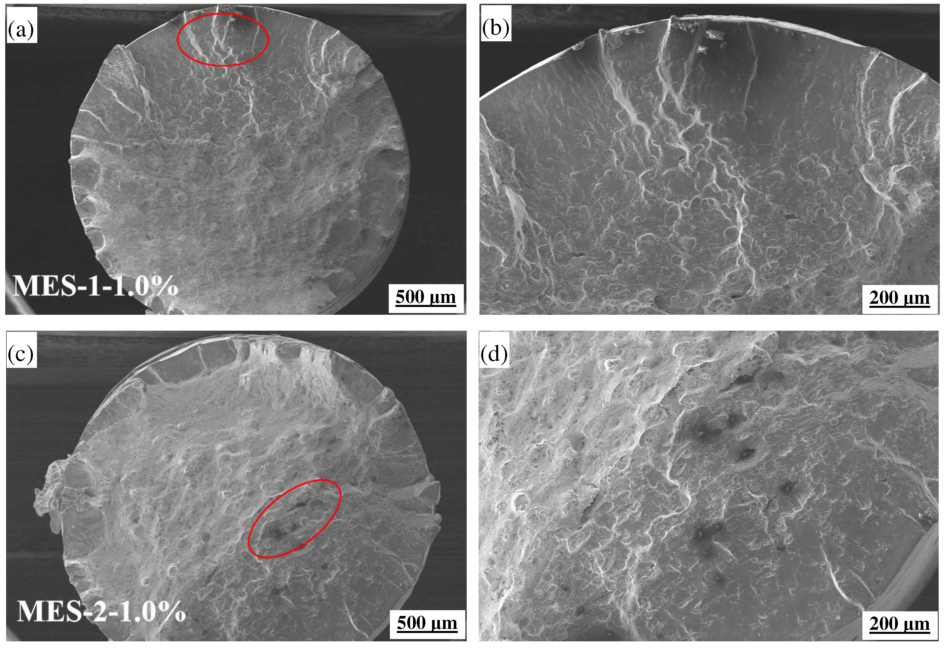 Materials 18 00334 g006