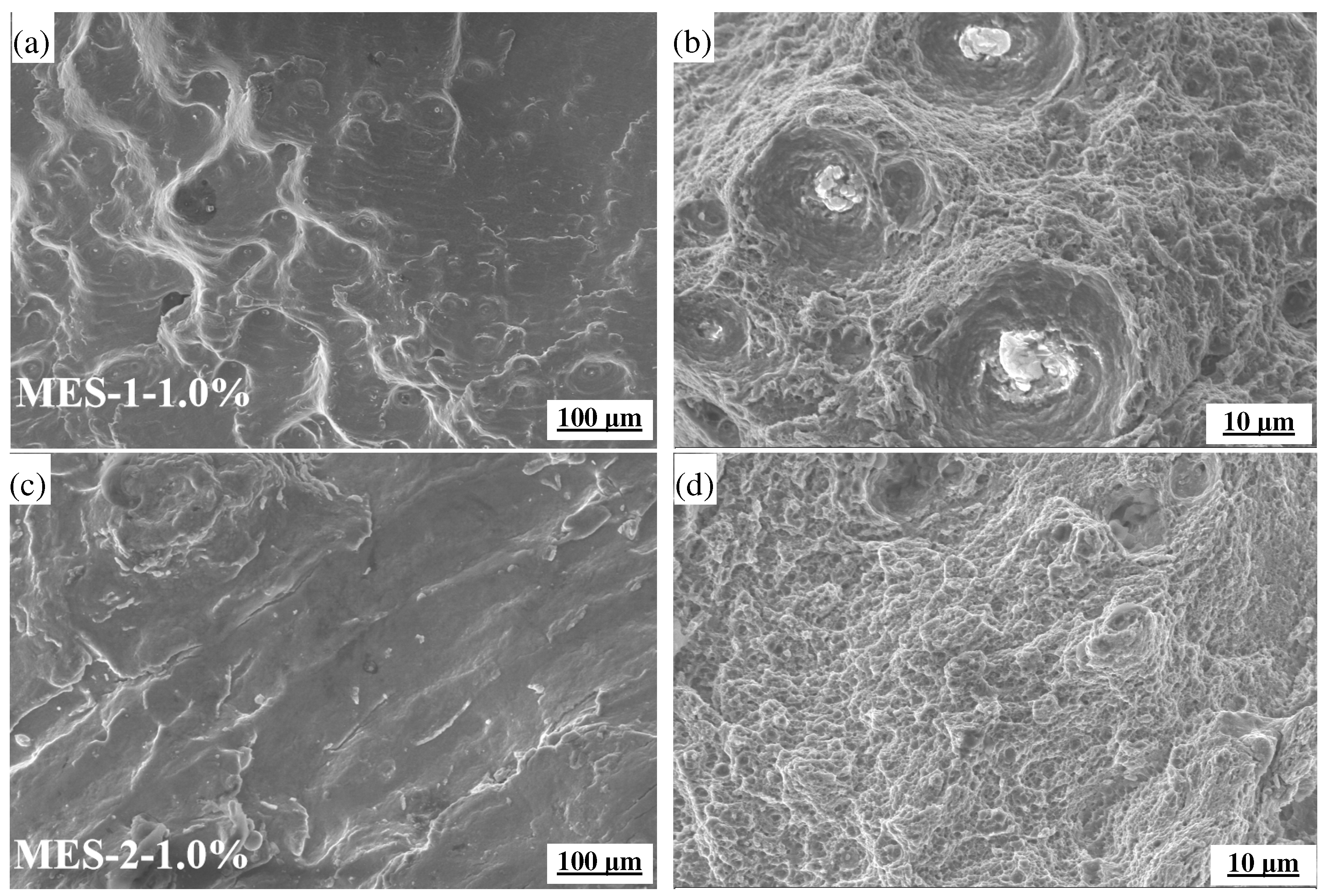 Materials 18 00334 g007