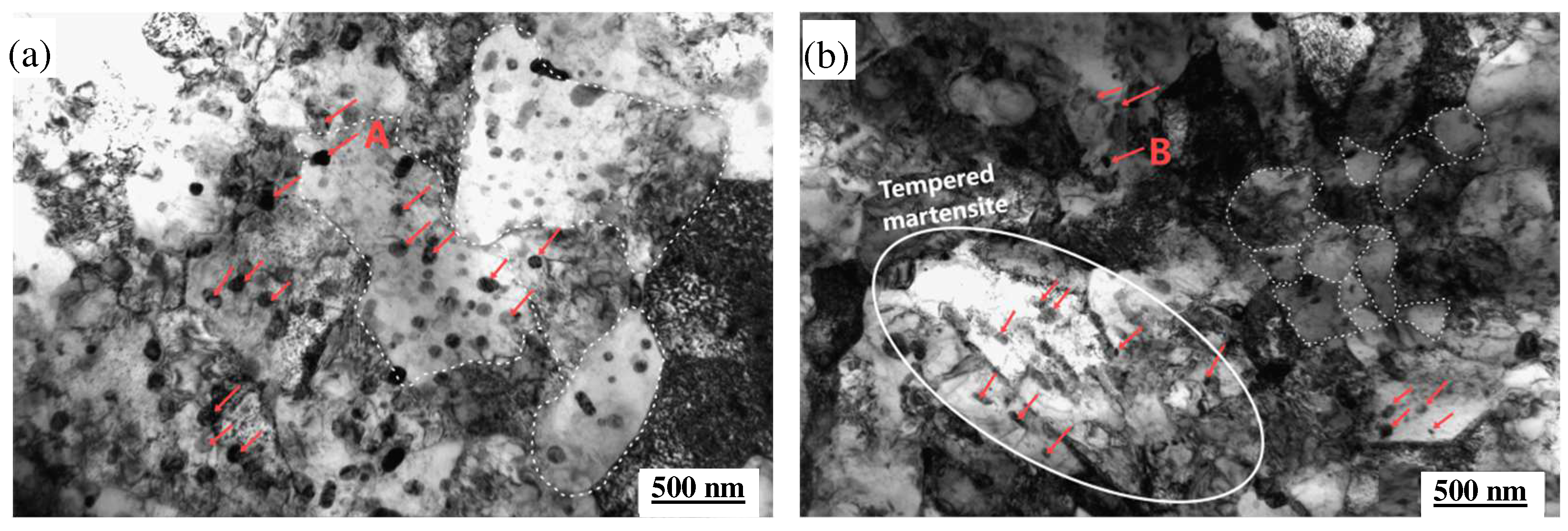 Materials 18 00334 g009a