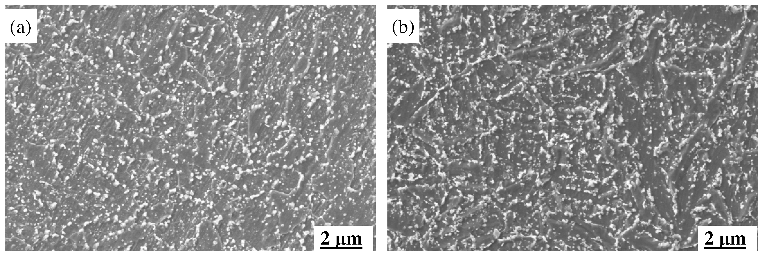 Materials 18 00334 g011