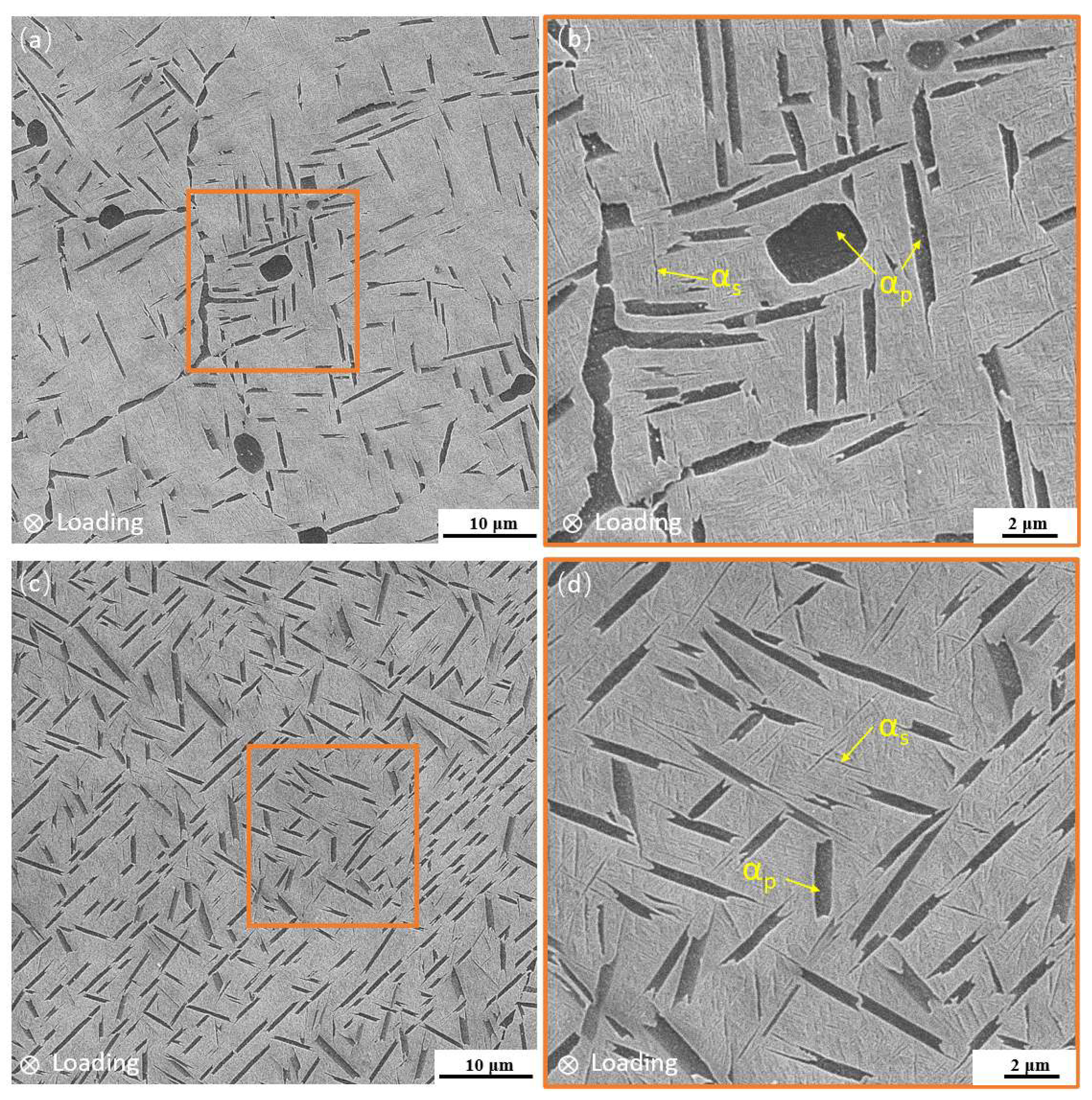 Materials 18 00336 g001