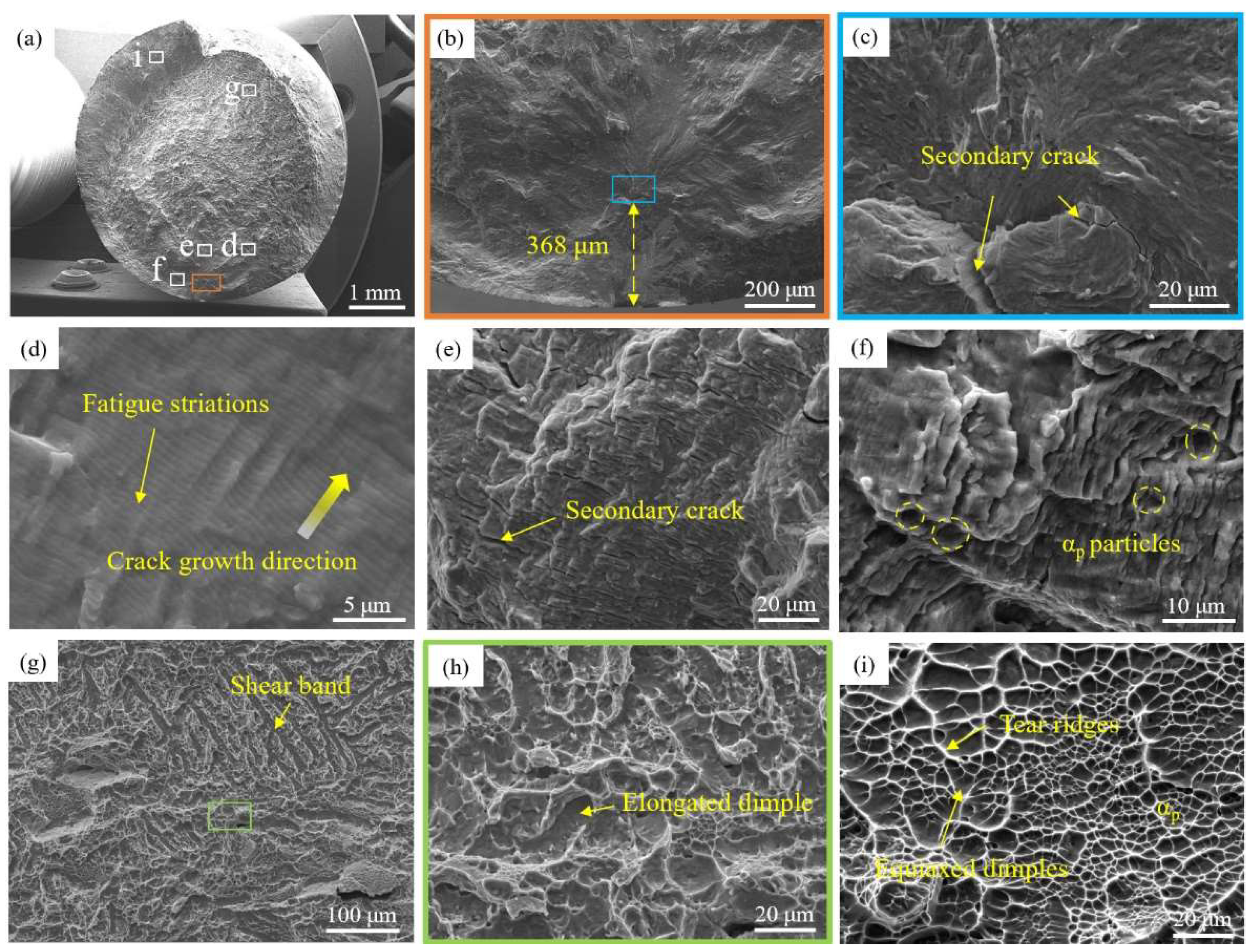 Materials 18 00336 g006