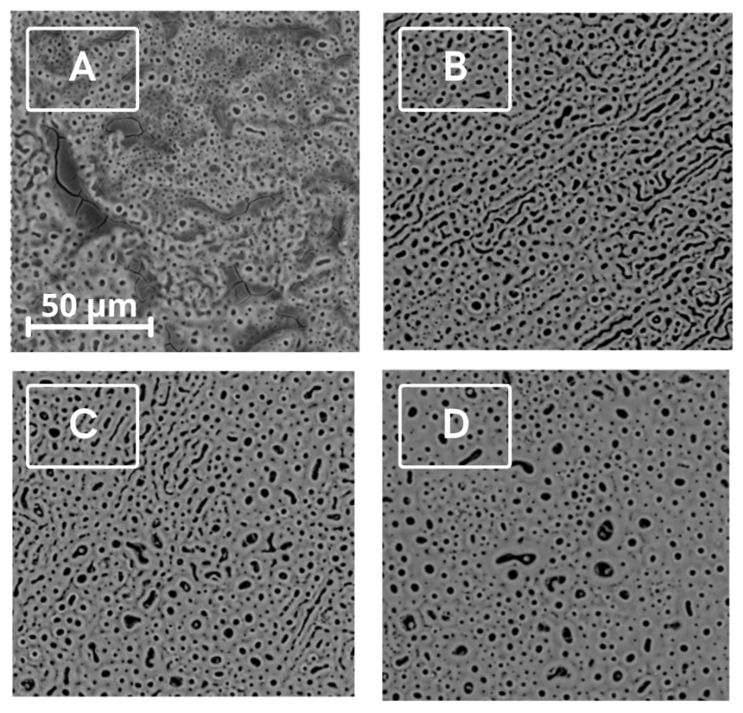 Materials 18 00349 g002