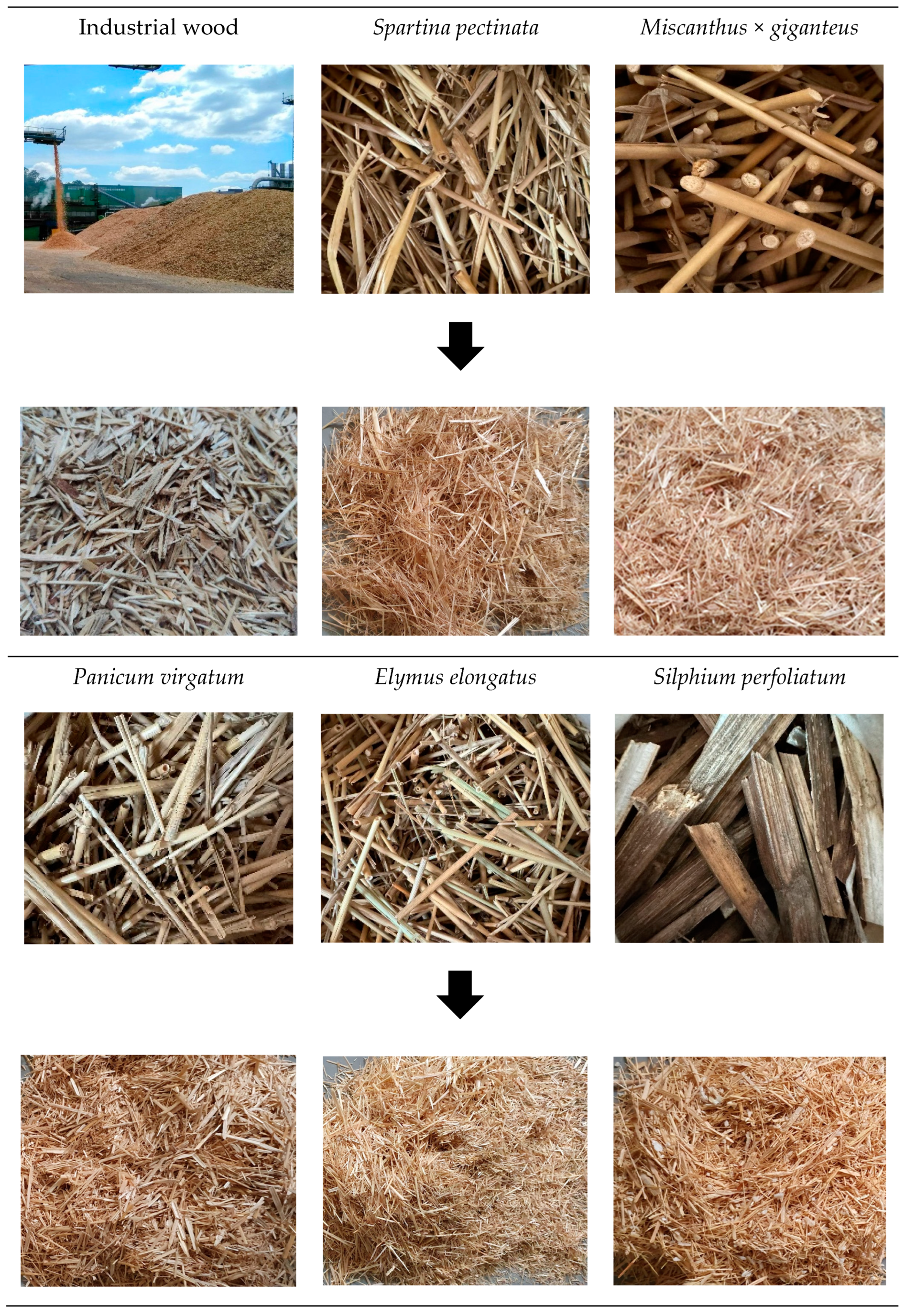 Materials 18 00352 g001