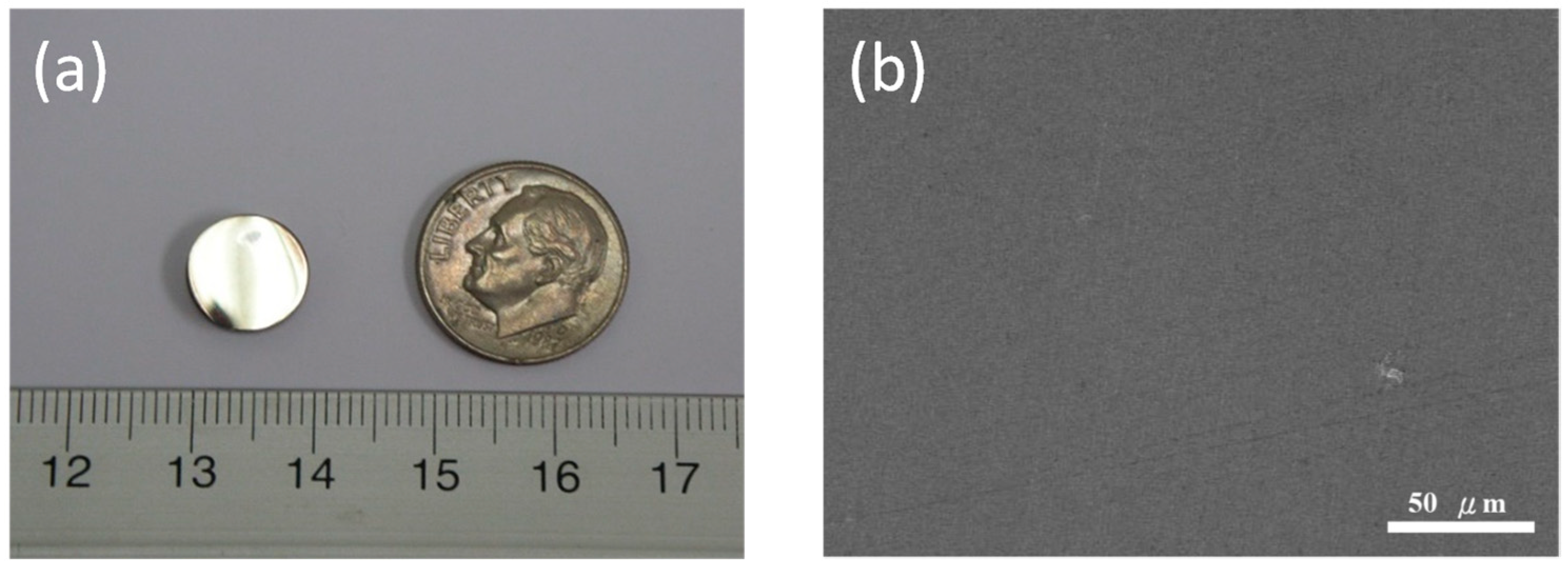 Materials 18 00360 g006