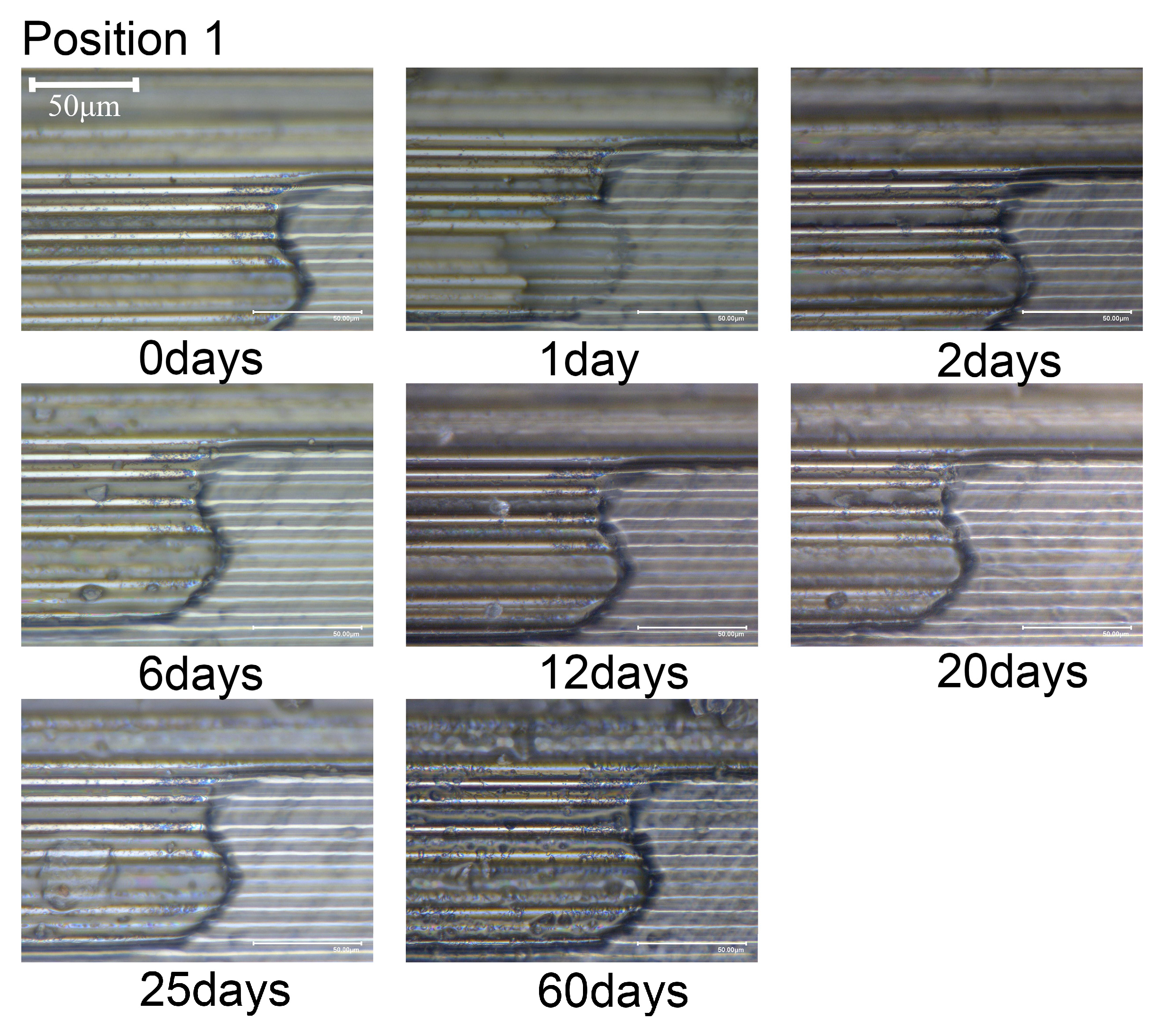 Materials 18 00369 g008