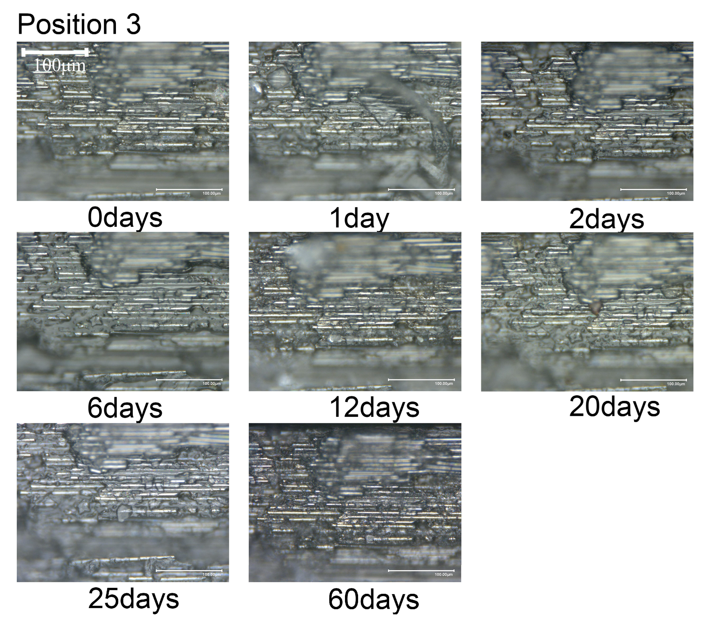 Materials 18 00369 g010