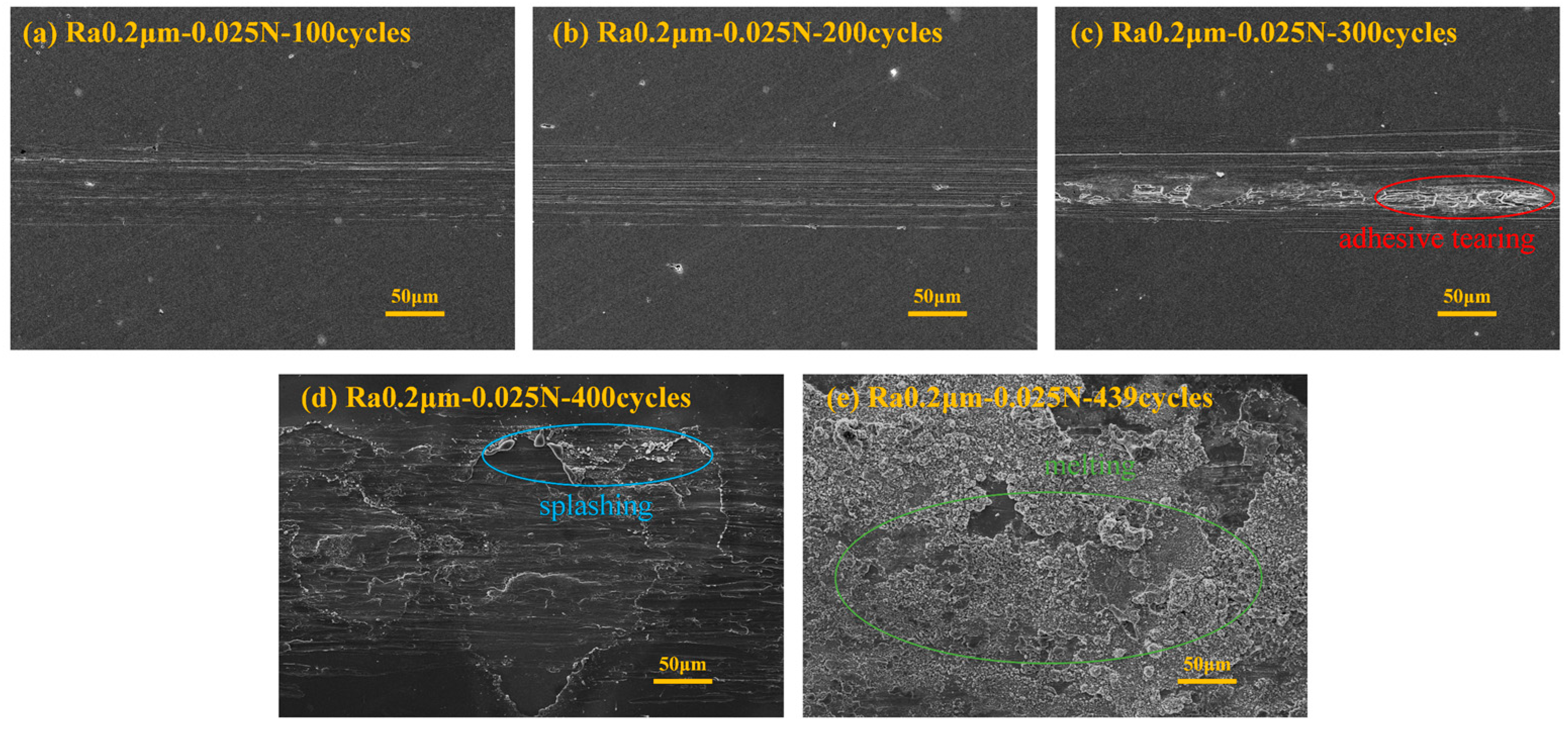 Materials 18 00370 g006