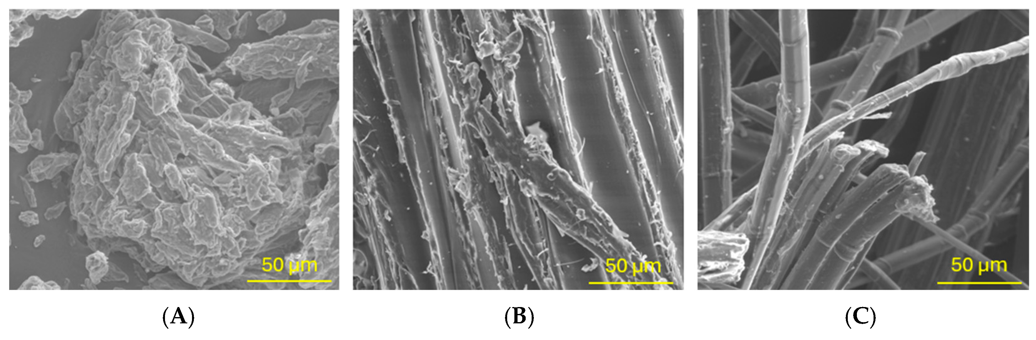 Materials 18 00386 g010