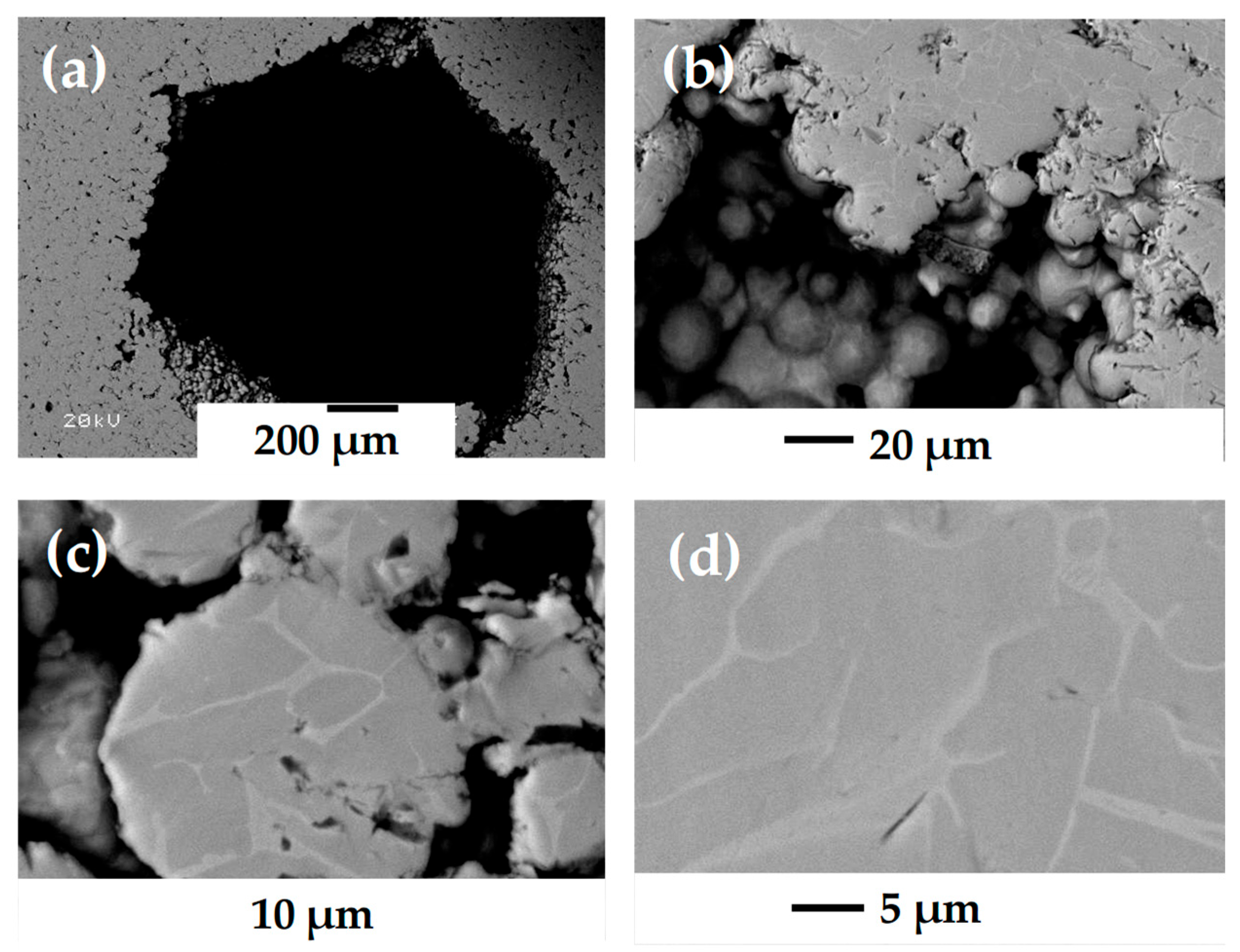 Materials 18 00389 g005