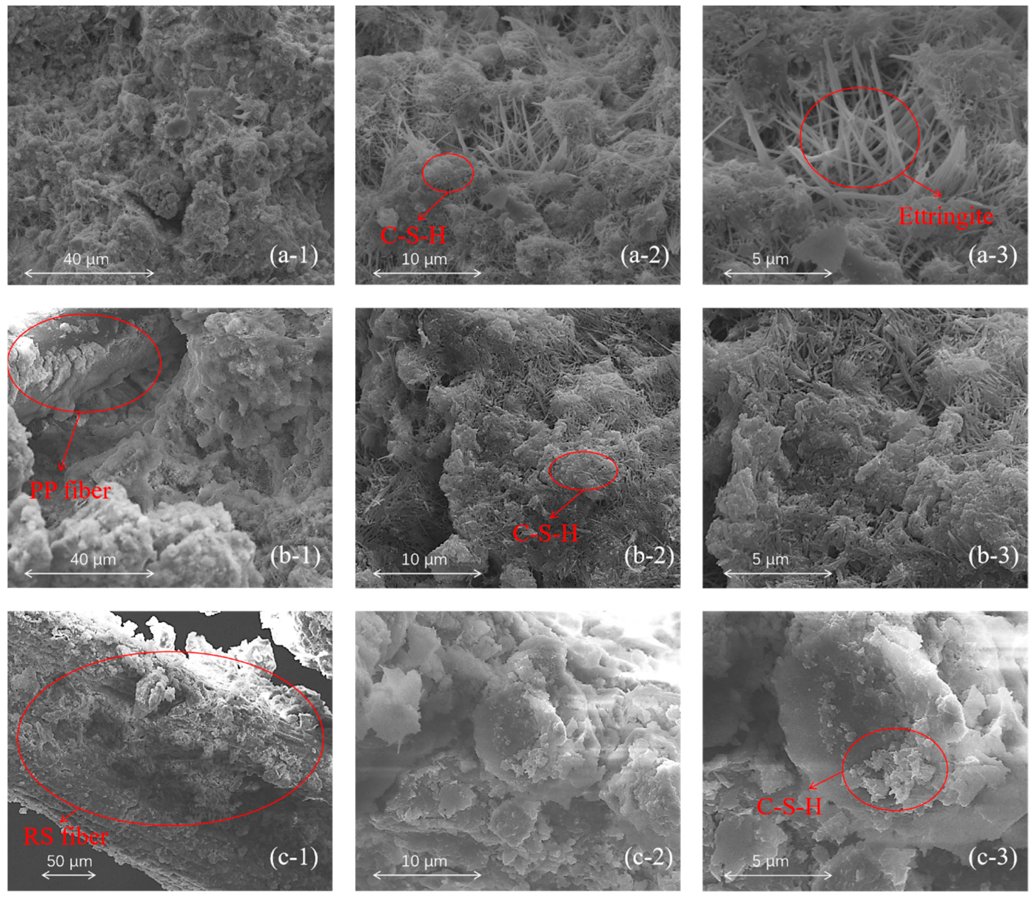 Materials 18 00392 g010