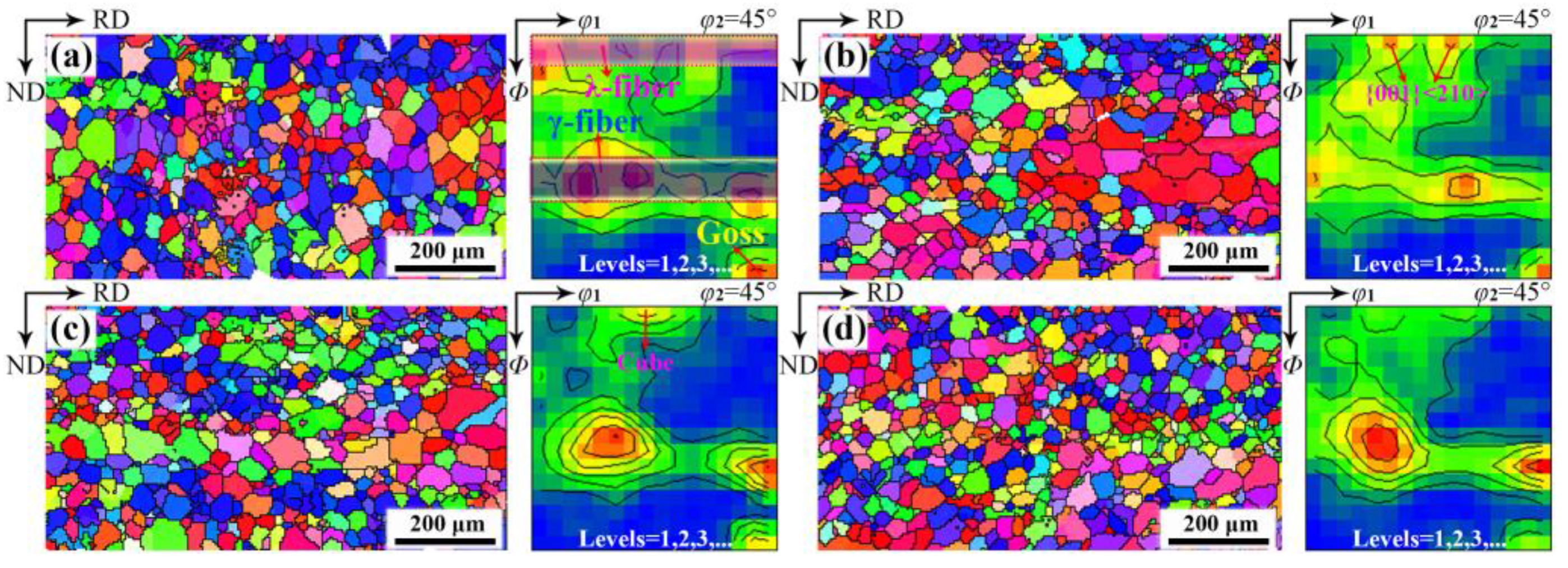 Materials 18 00401 g006