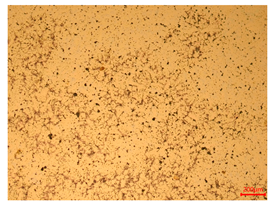 Materials 18 00402 i005