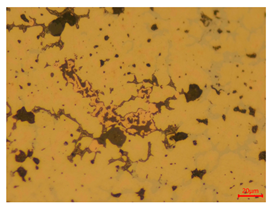 Materials 18 00402 i008