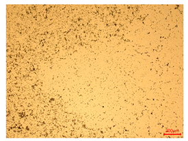 Materials 18 00402 i025