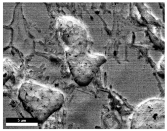 Materials 18 00402 i033