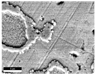 Materials 18 00402 i039