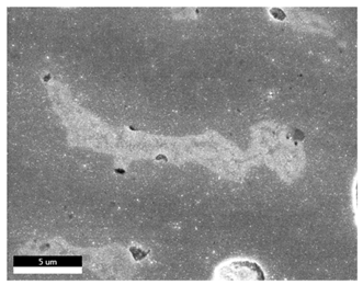 Materials 18 00402 i043