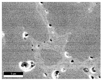 Materials 18 00402 i045