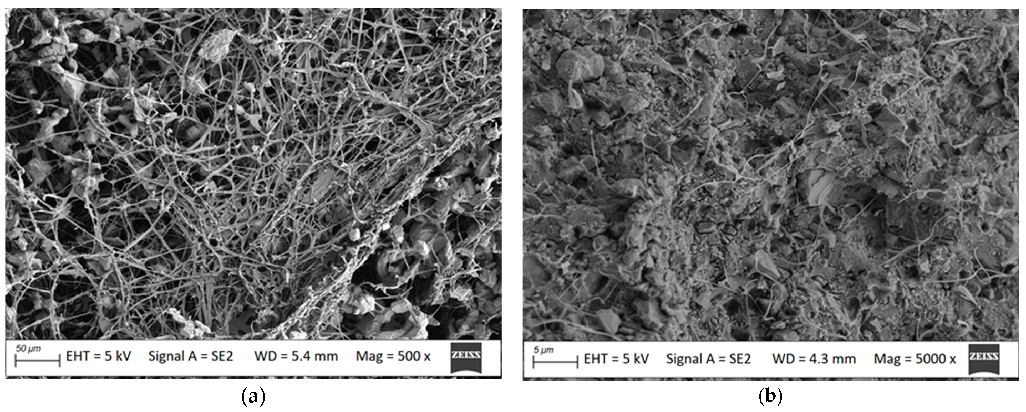Materials 18 00411 g005 Materials 18 00411 g005