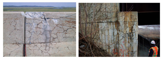 Materials 18 00430 g005