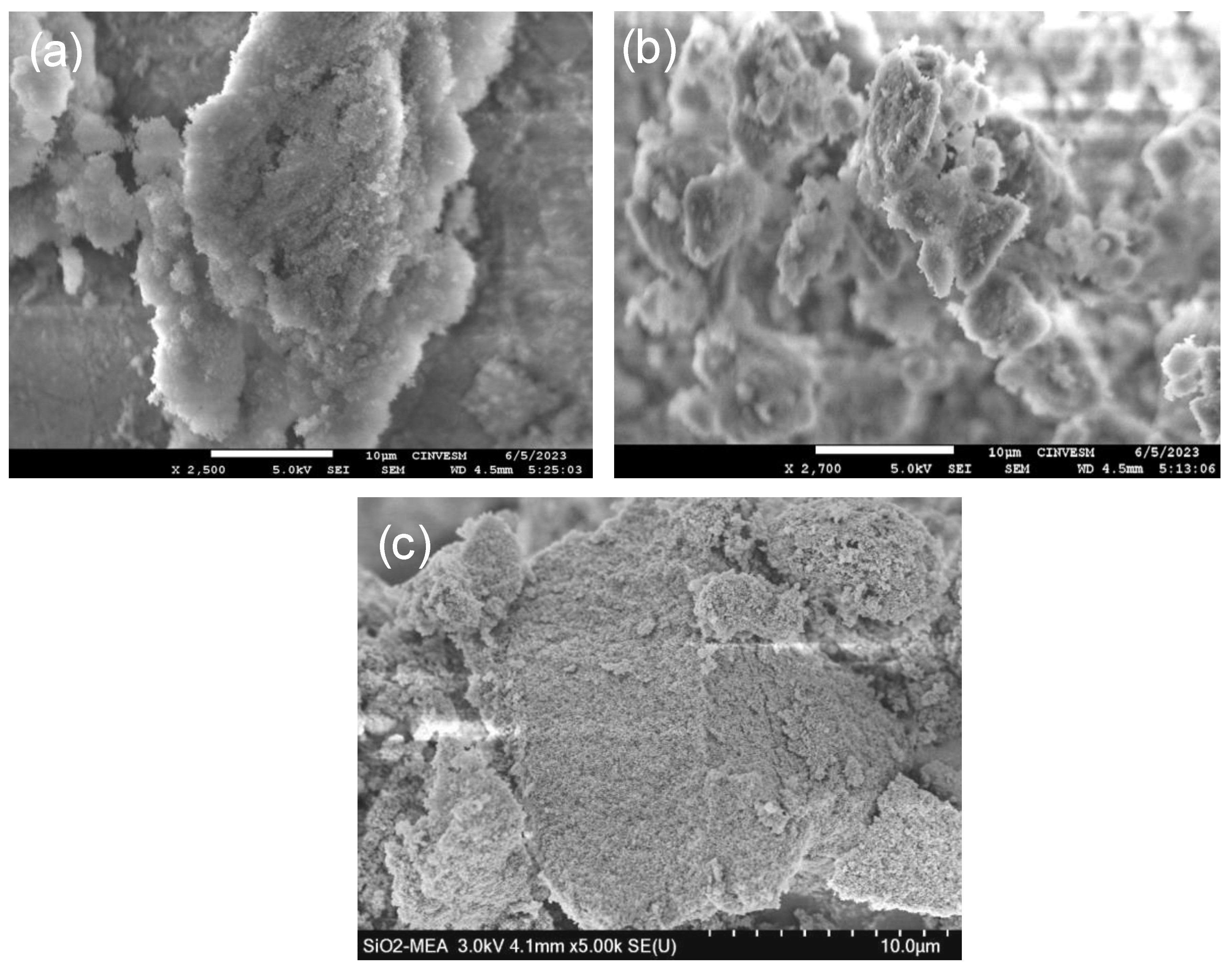 Materials 18 00439 g010