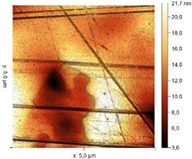 Materials 18 00464 i002