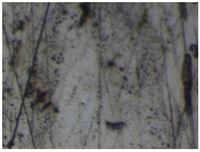 Materials 18 00464 i003