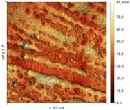 Materials 18 00464 i006