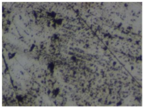 Materials 18 00464 i007