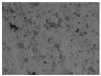 Materials 18 00464 i009