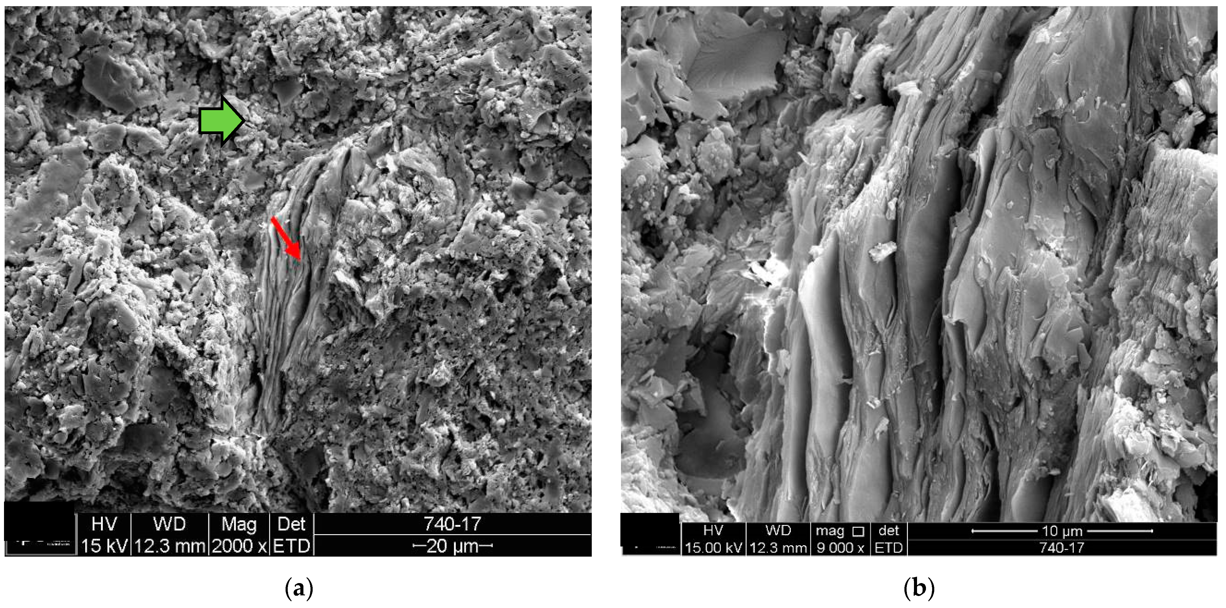 Materials 18 00465 g006