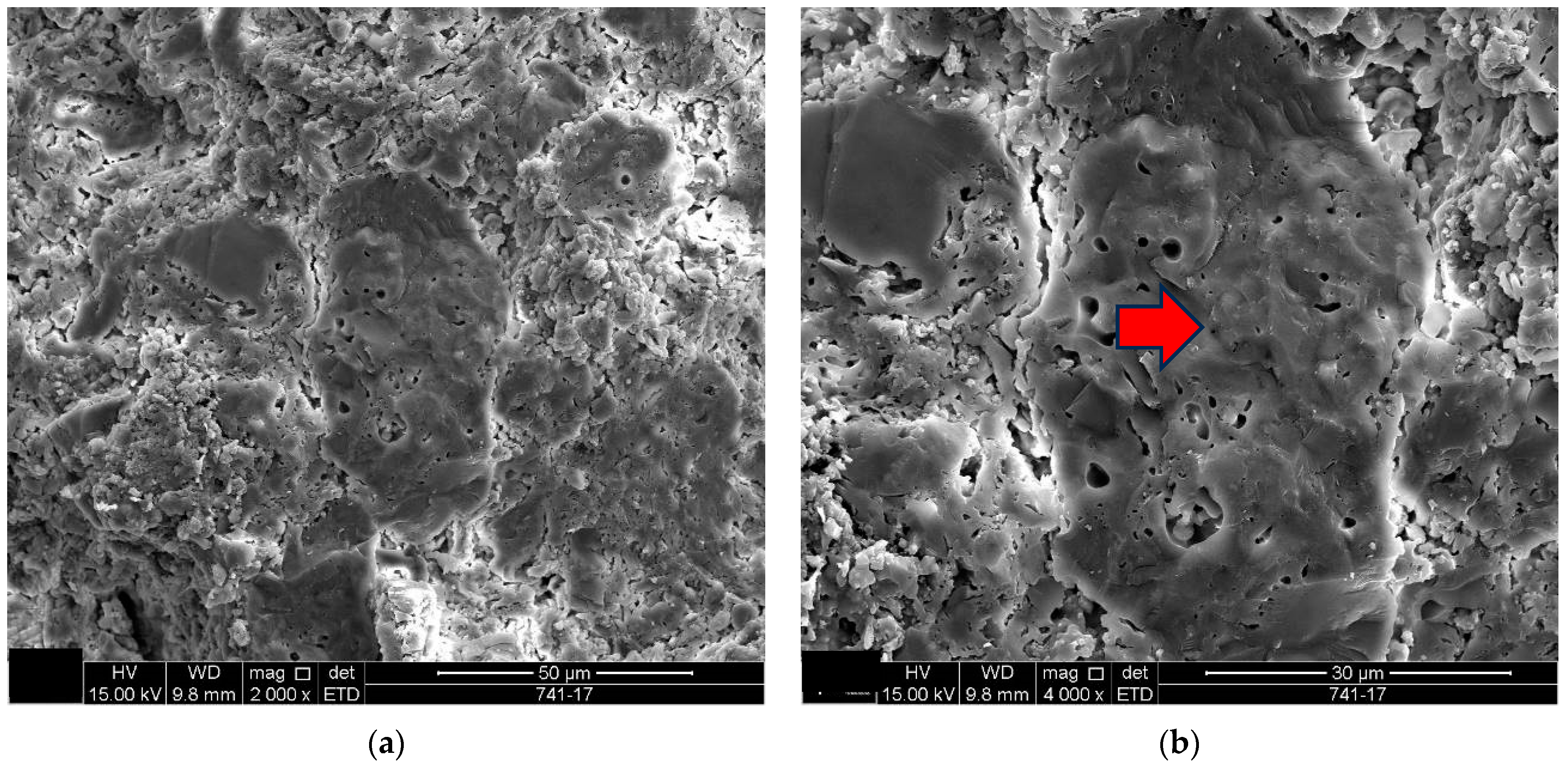 Materials 18 00465 g007