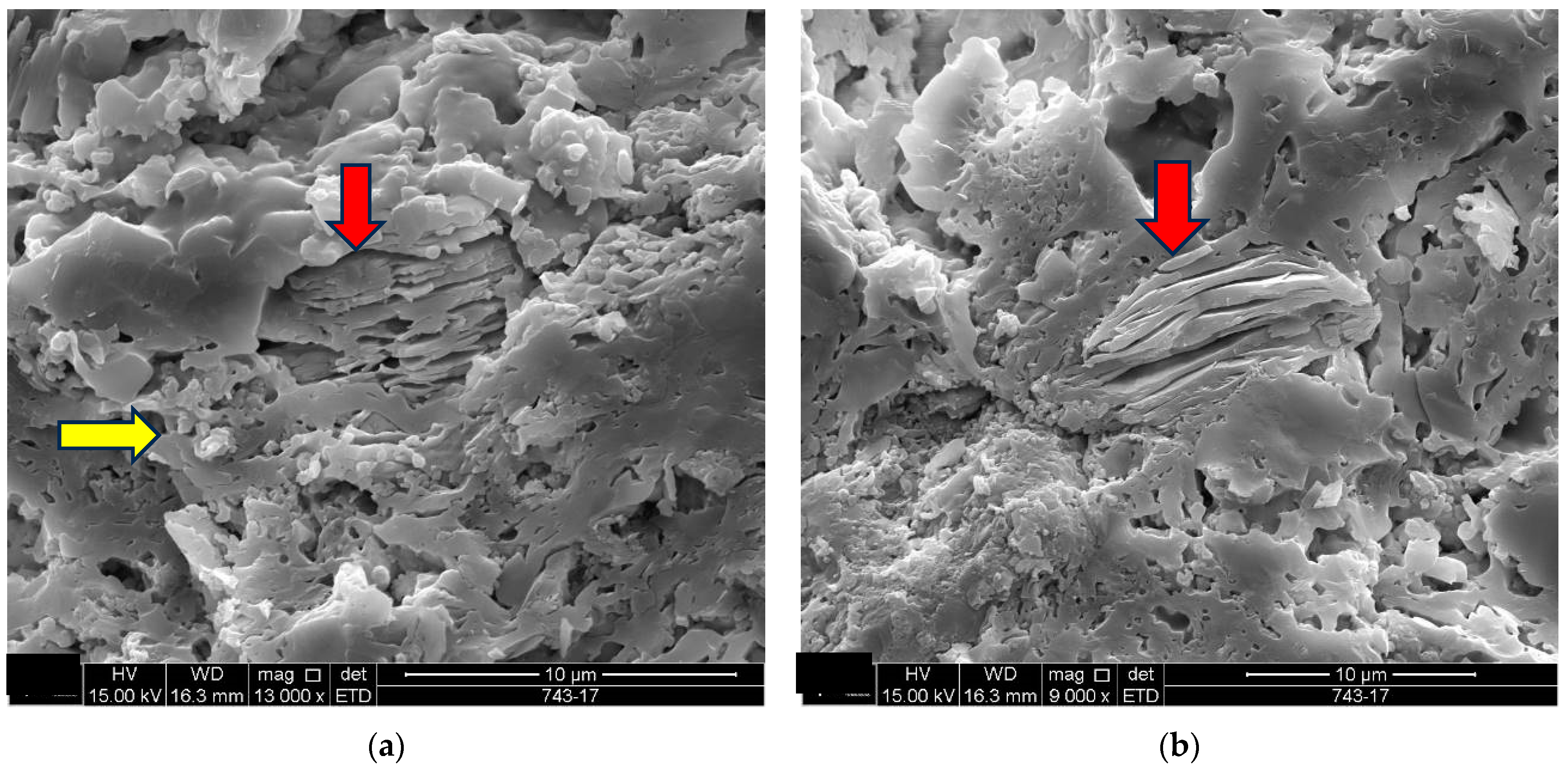 Materials 18 00465 g009