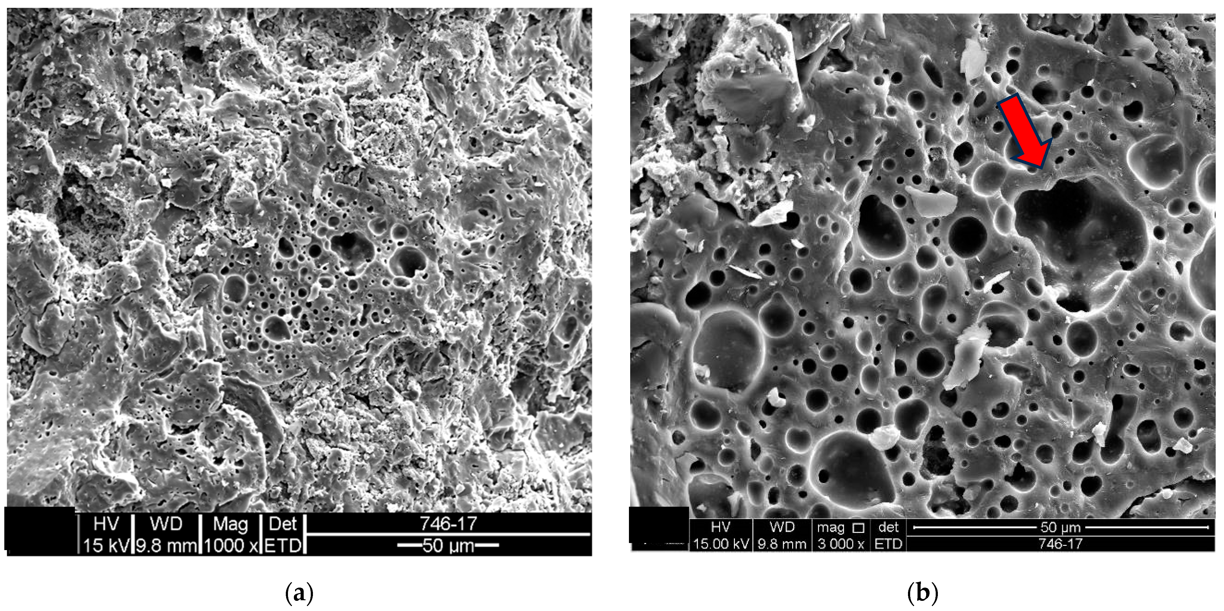 Materials 18 00465 g011