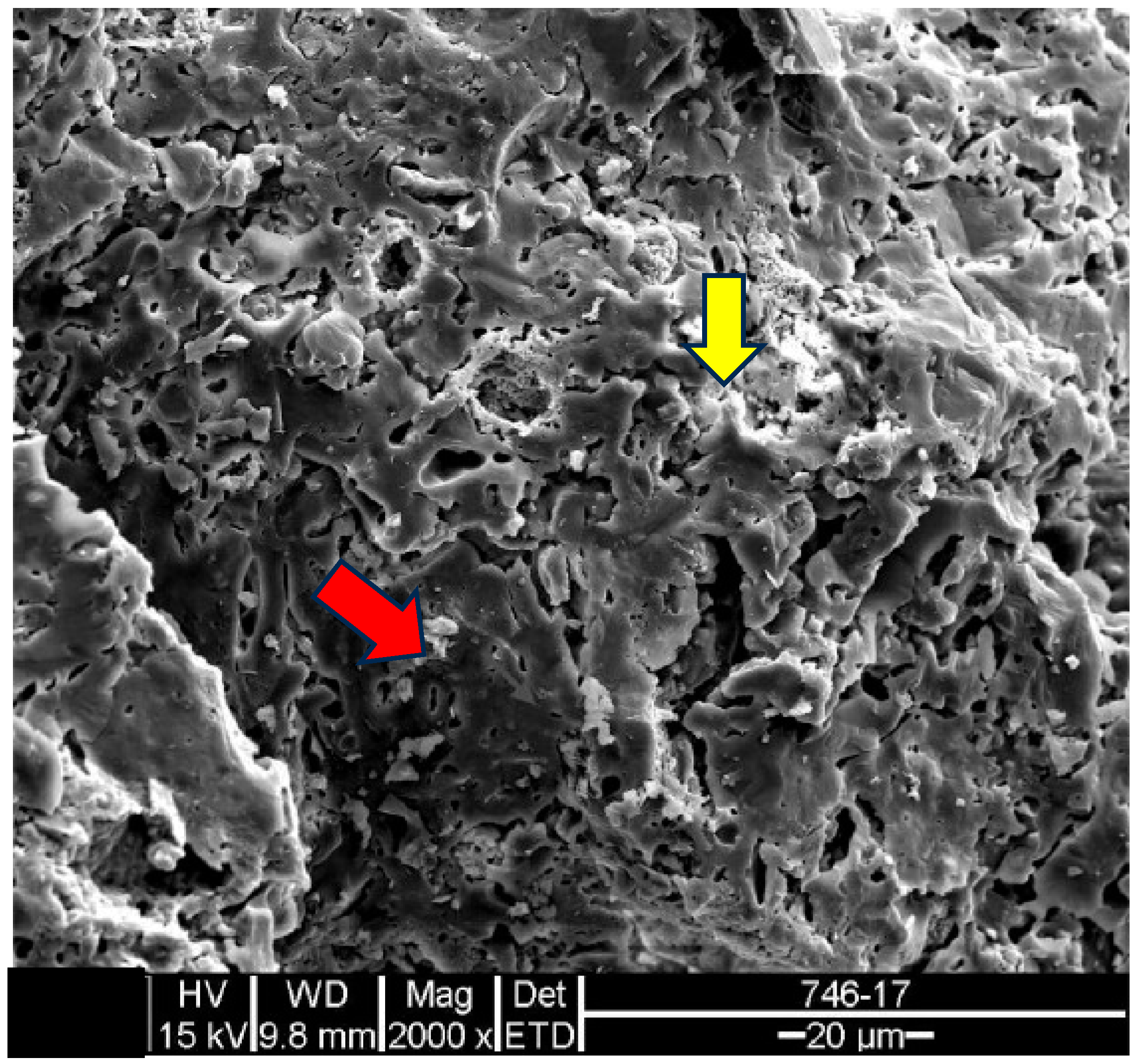 Materials 18 00465 g013