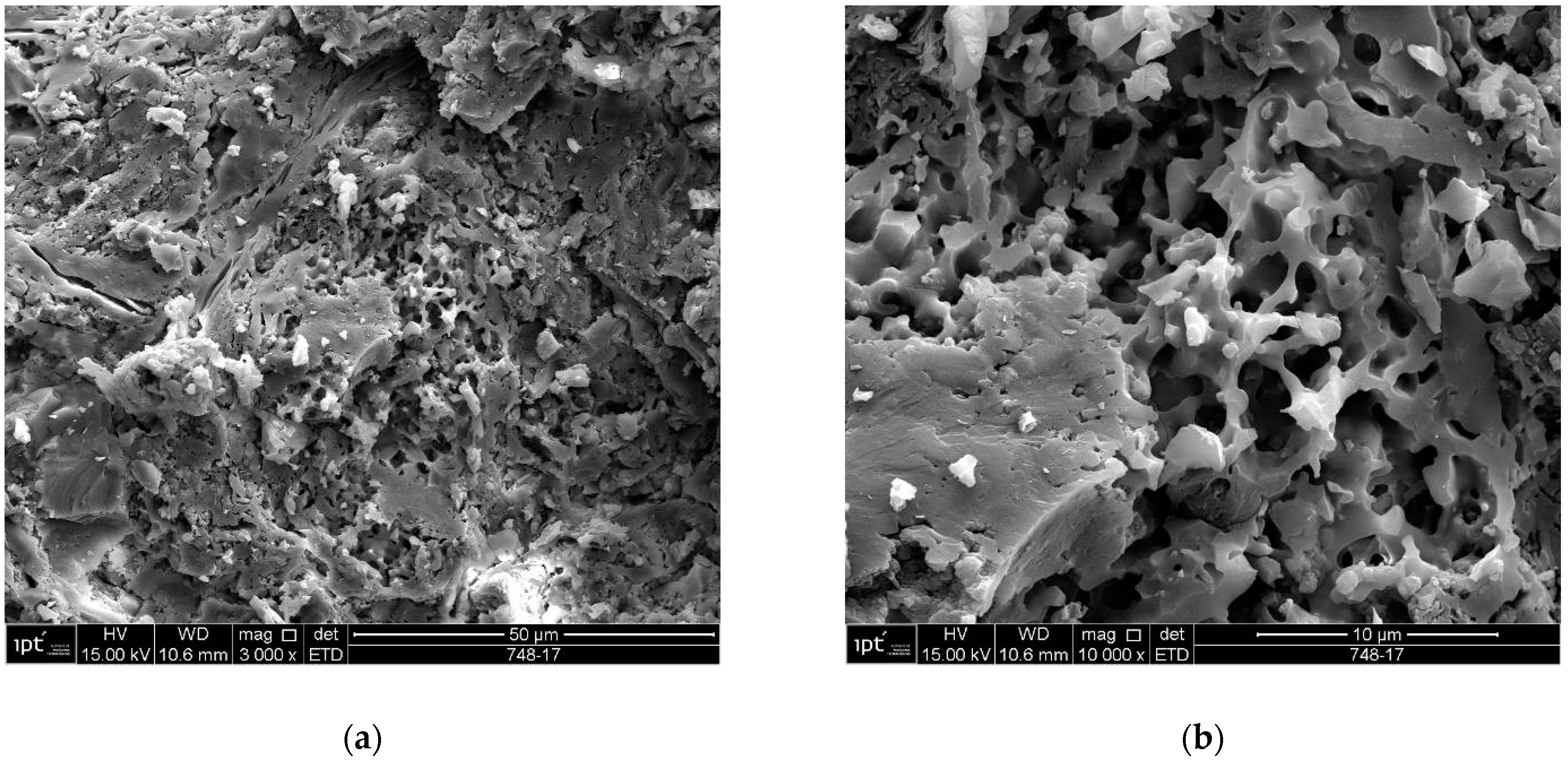 Materials 18 00465 g017