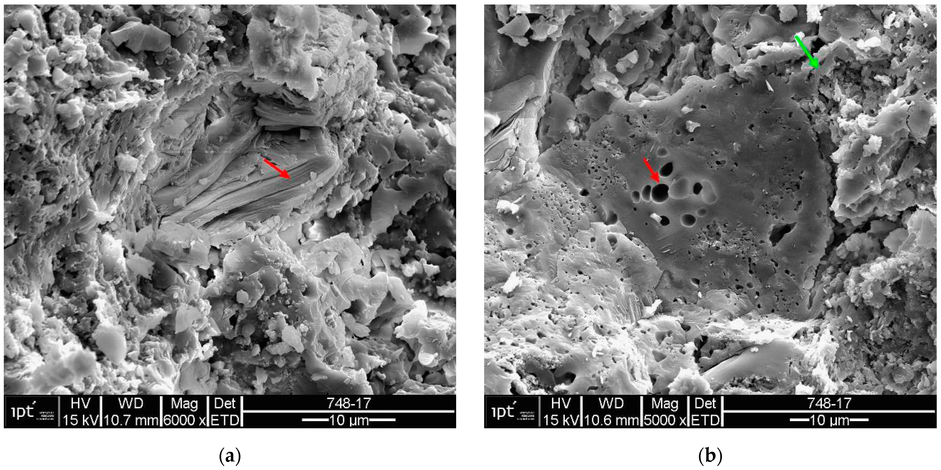 Materials 18 00465 g018