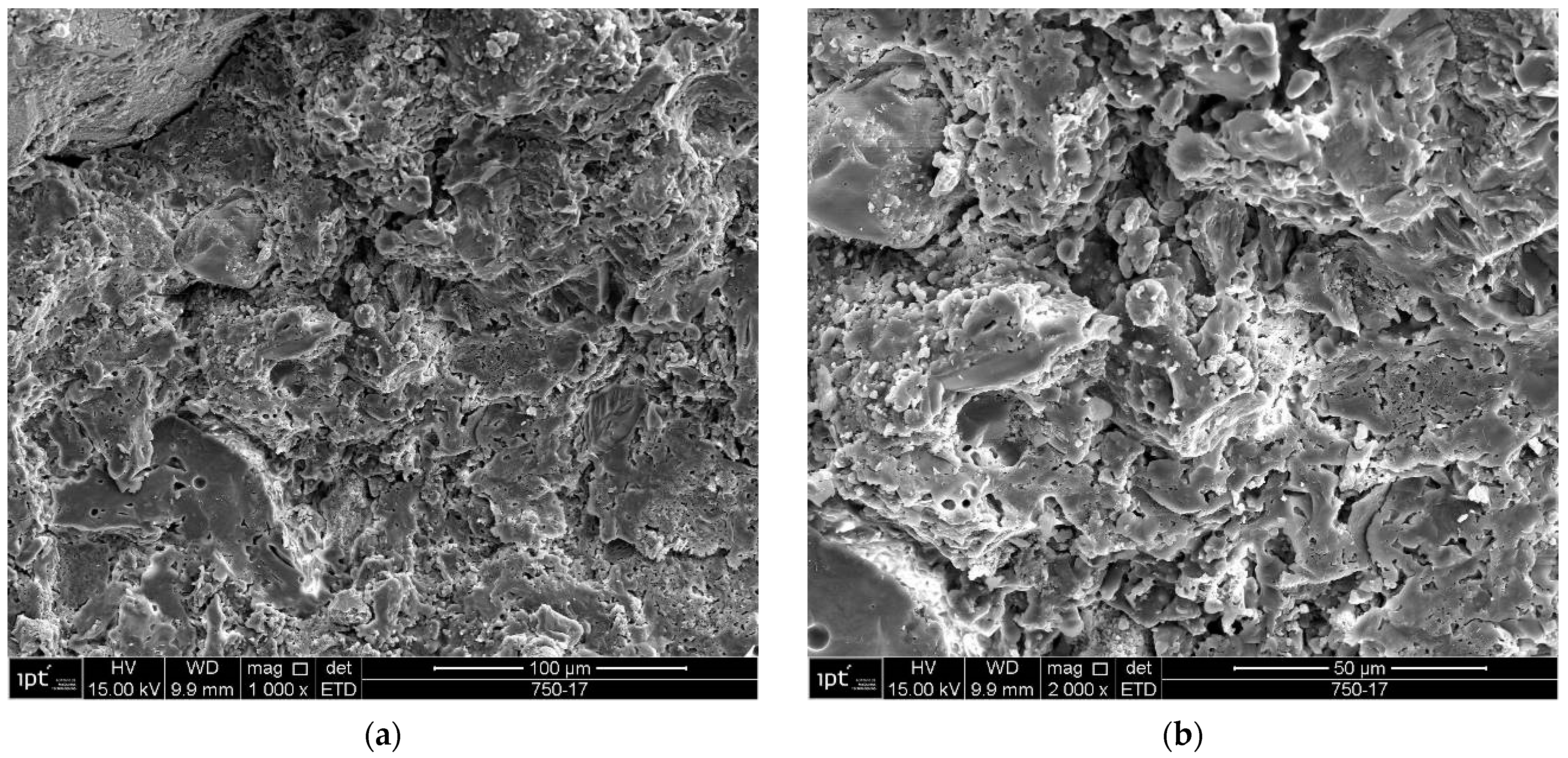 Materials 18 00465 g022