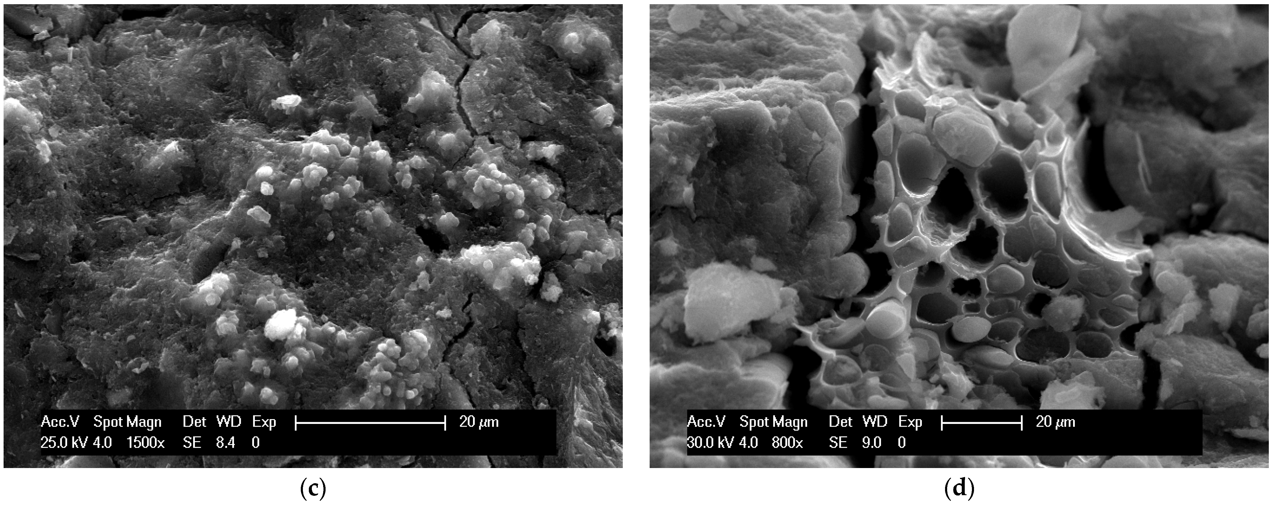 Materials 18 00486 g007b