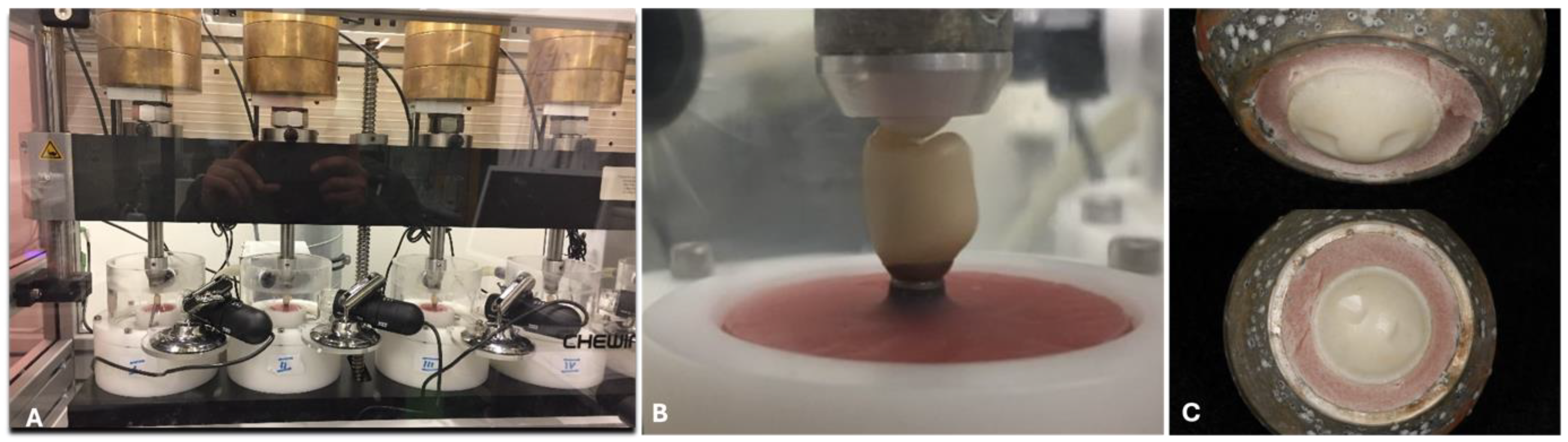 Materials 18 00506 g004