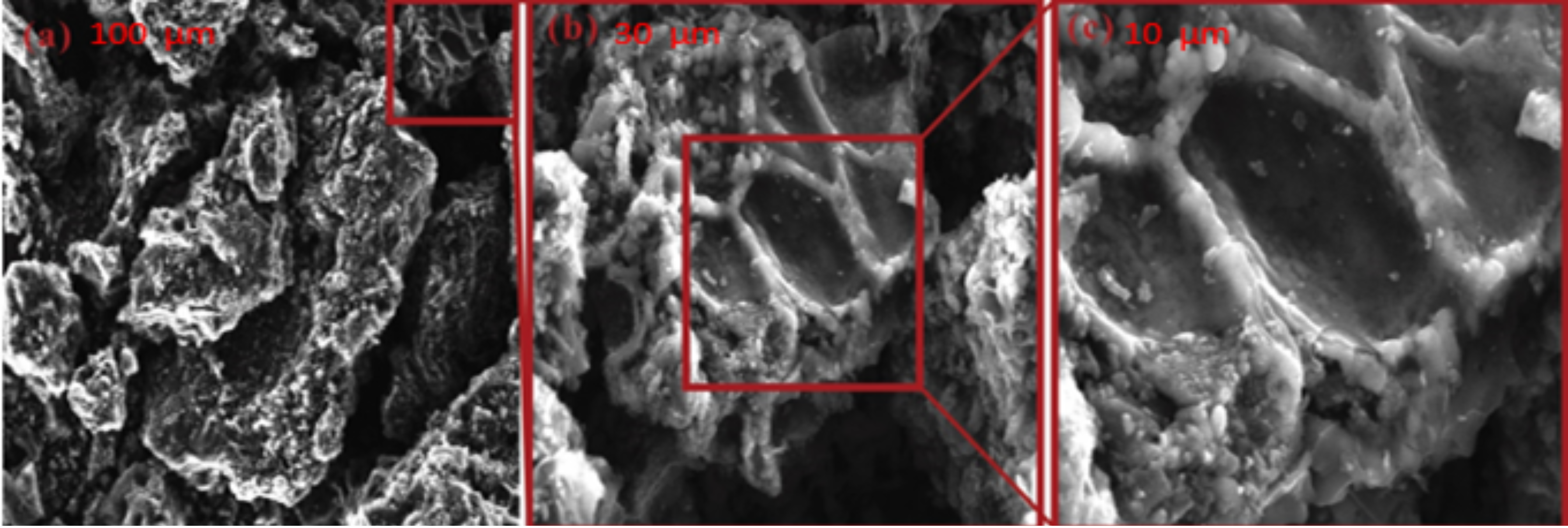 Materials 18 00511 g003 Materials 18 00511 g003