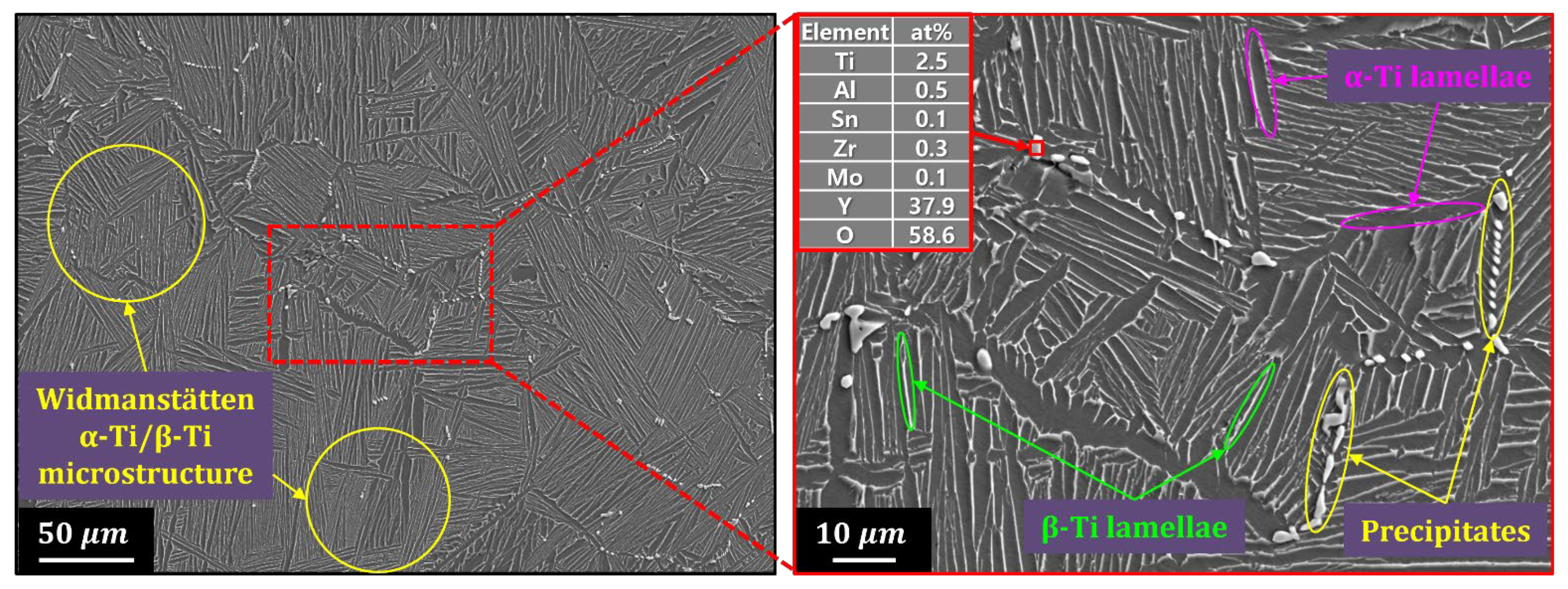 Materials 18 00521 g005