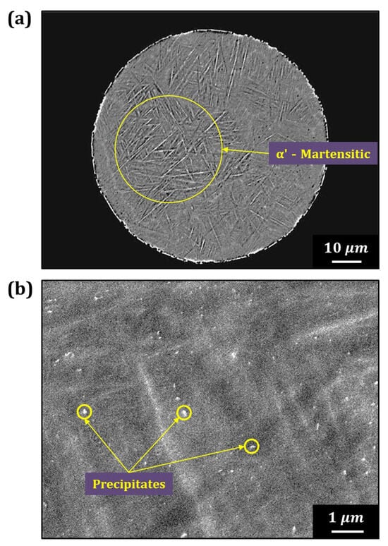 Materials 18 00521 g007