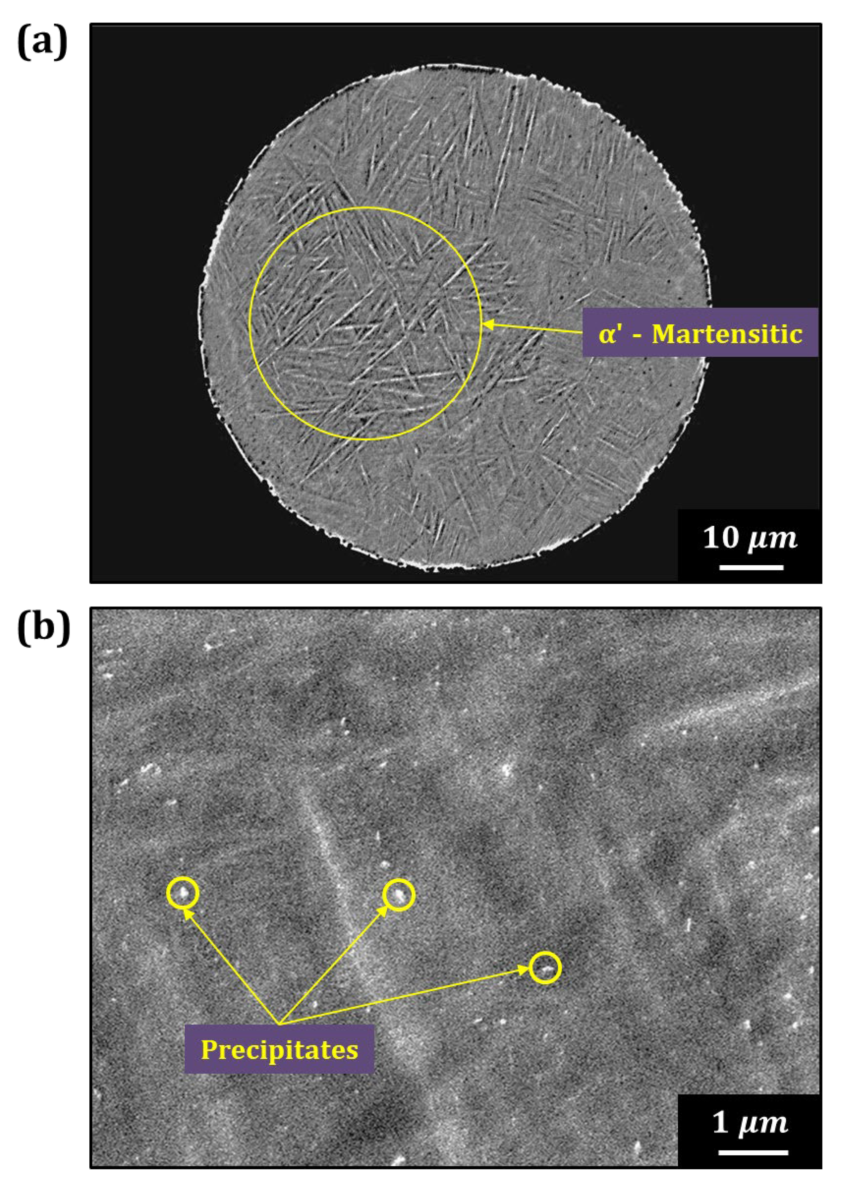Materials 18 00521 g007