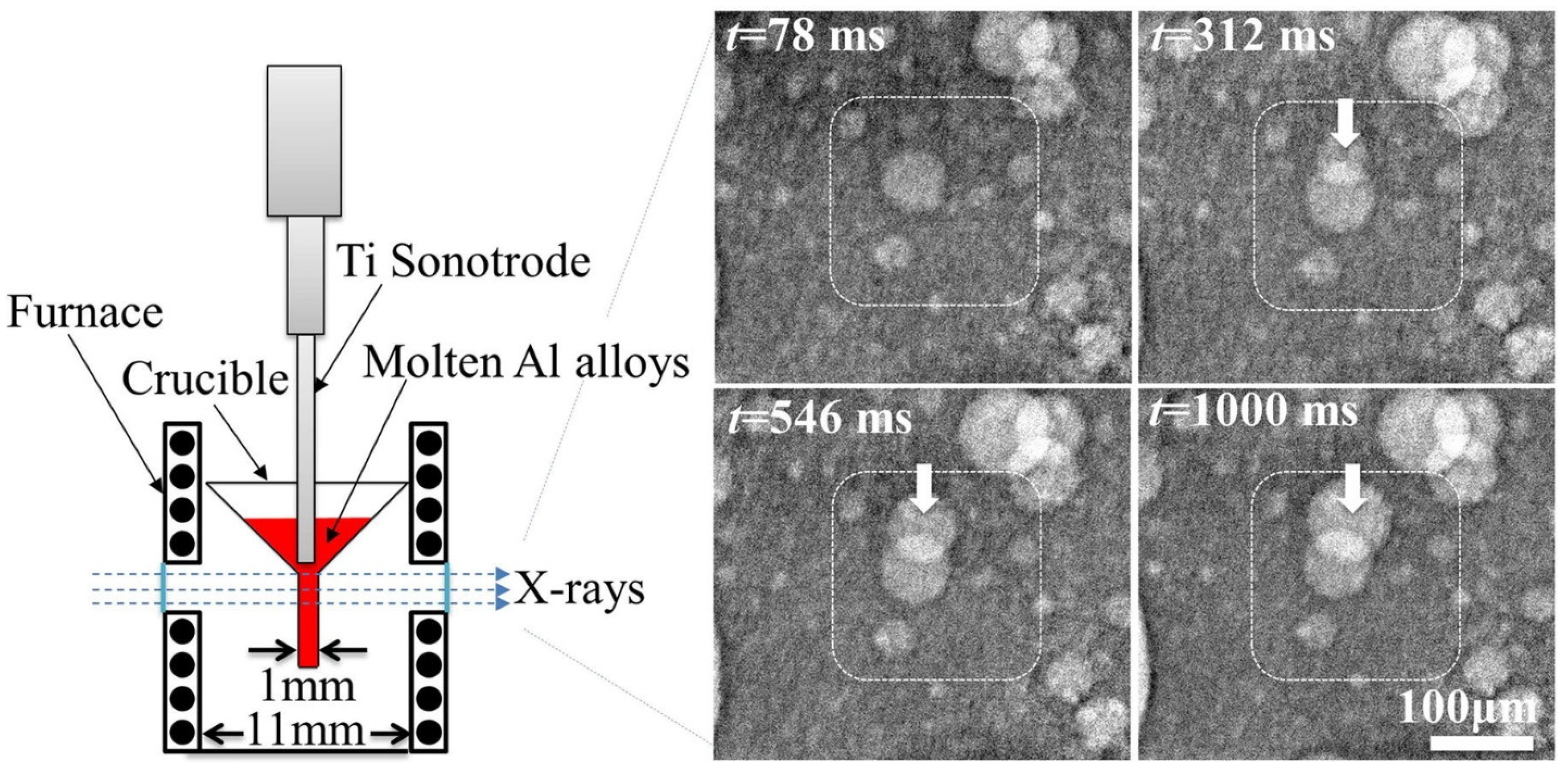 Materials 18 00522 g005
