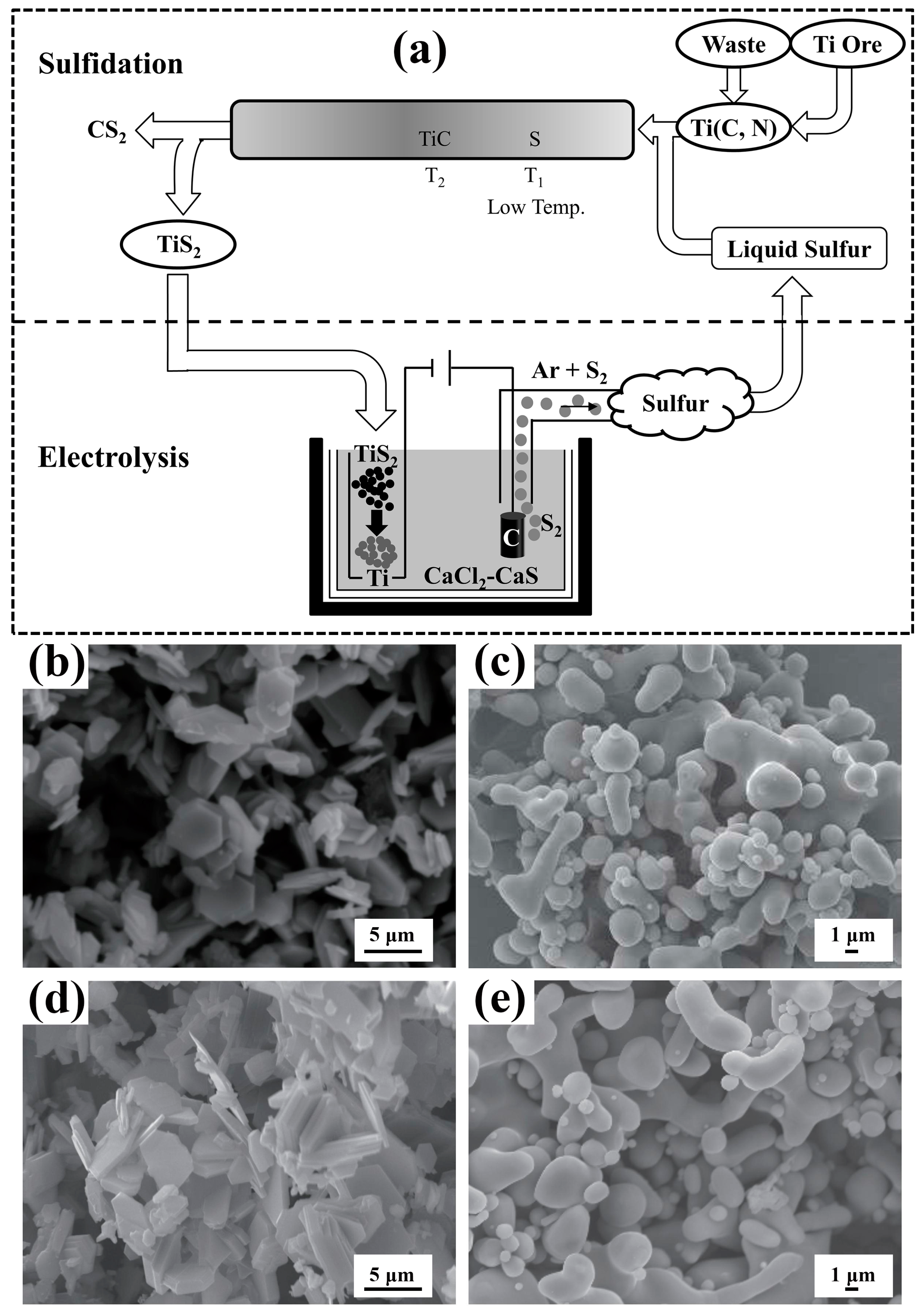 Materials 18 00525 g007