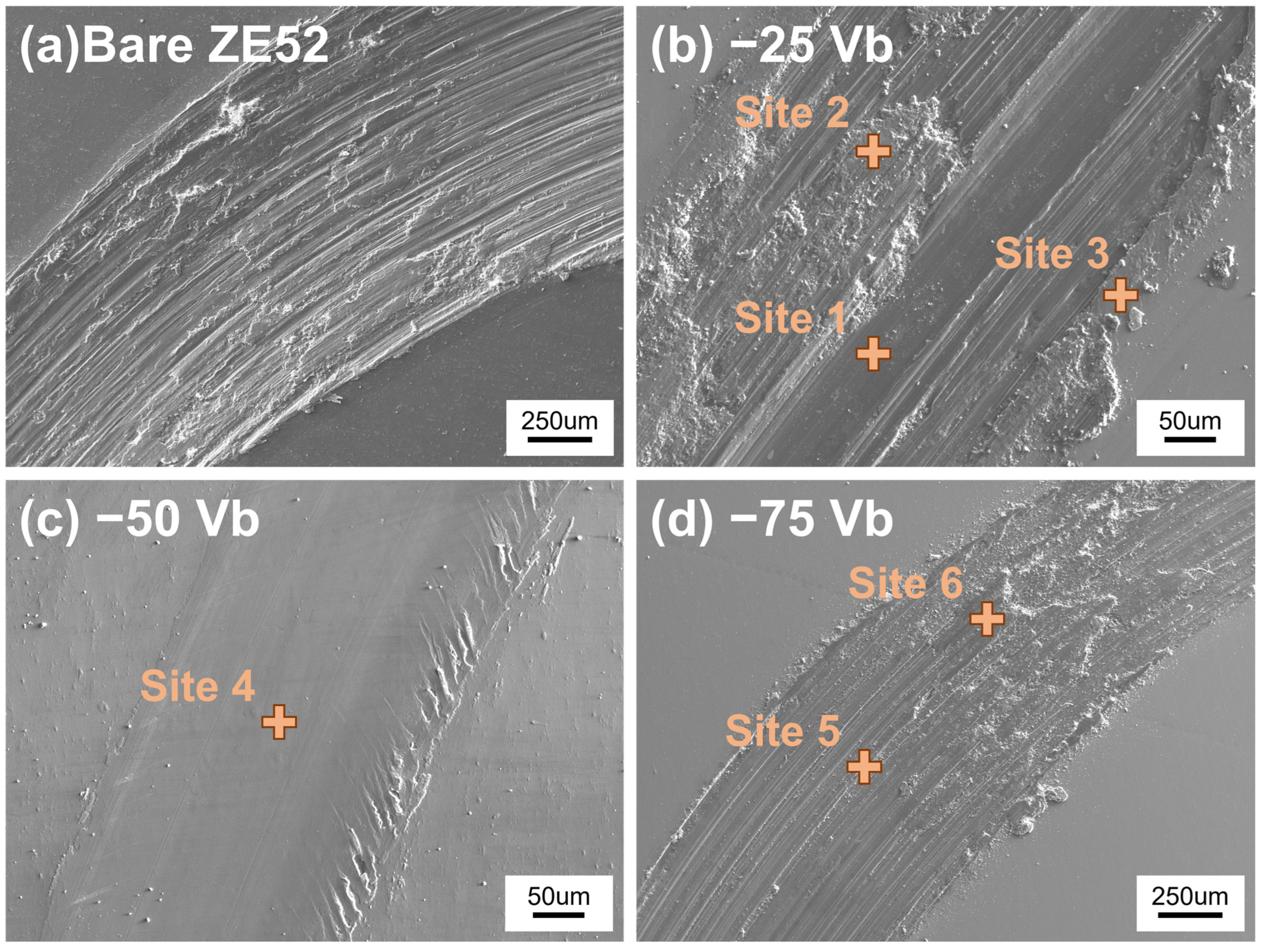 Materials 18 00536 g009